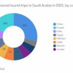 Società di leasing automobilistico in Arabia Saudita: dimensioni del ...