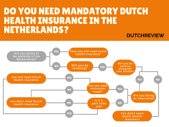 5 things you should know about Dutch health insurance before the New ...